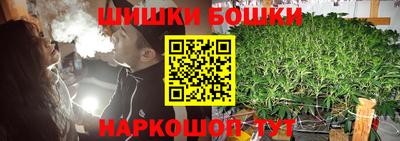 тгк Будённовск